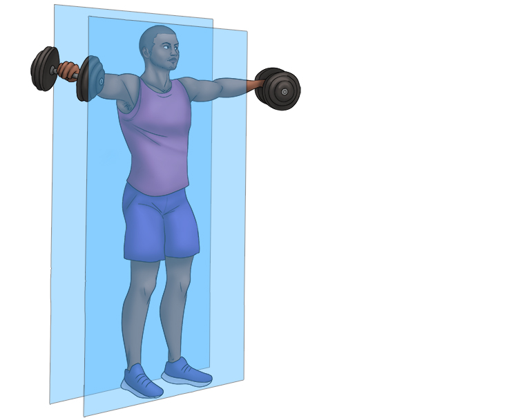 2/ Lateral dumbbell raise are a frontal plane movement.